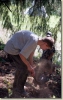 tabor_2003_0144.jpg