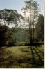 tabor_2003_0148.jpg