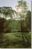 tabor_2003_0149.jpg