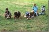 tabor_2003_0160.jpg
