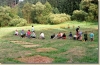 tabor_2003_0161.jpg