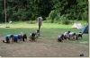 tabor_2003_0171.jpg