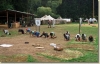 tabor_2003_0172.jpg