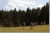 tabor_2003_0177.jpg