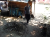tab2005034.jpg