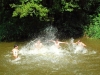 tab2005040.jpg