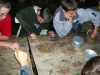 tab2005053.jpg