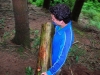 tab2005056.jpg