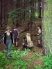 tab2005059.jpg