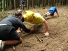 tab2005063.jpg