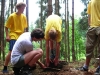 tab2005064.jpg