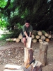 tab2005069.jpg