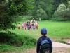 tab2005104.jpg