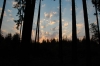 DSC_0033.JPG