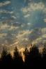 DSC_0077.JPG