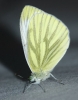 DSC_0162.JPG