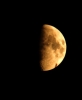 DSC_0197.JPG
