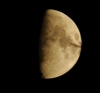 DSC_0201.JPG