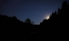DSC_0212x.JPG