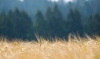 DSC_0235.JPG