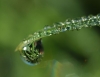 DSC_0261.JPG