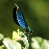 DSC_0272x.JPG