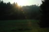 DSC_0320.JPG