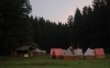 DSC_0441.JPG