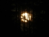 DSC_0512.JPG