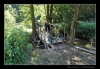 010_tabor-sk_04-07-2010.jpg