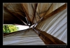 075_tabor-sk_07-07-2010.jpg