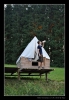 089_tabor-sk_07-07-2010.jpg