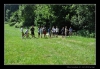 104_tabor-sk_08-07-2010.jpg