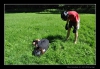 116_tabor-sk_08-07-2010.jpg