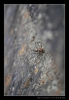 282_tabor-sk_14-07-2010.jpg