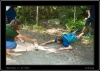 299_tabor-sk_14-07-2010.jpg