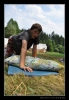 339_tabor-sk_17-07-2010.jpg