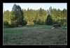 434_tabor-sk_22-07-2010.jpg