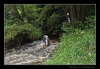 435_tabor-sk_23-07-2010.jpg