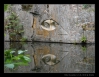 072_tabor-sky_15-07-2010.jpg