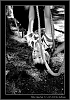 066_tabor-sv-vl_08-07-2010.jpg