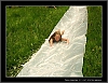 183_tabor-sv-vl_20-07-2010.jpg