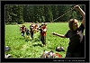 231_tabor-sv-vl_21-07-2010.jpg