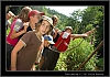 232_tabor-sv-vl_21-07-2010.jpg
