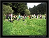 233_tabor-sv-vl_21-07-2010.jpg
