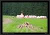 010-tabor_2011-07-04.jpg