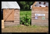 054-tabor_2011-07-07.jpg