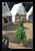 058-tabor_2011-07-07.jpg