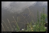 135-tabor_2011-07-11.jpg