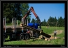 138-tabor_2011-07-12.jpg